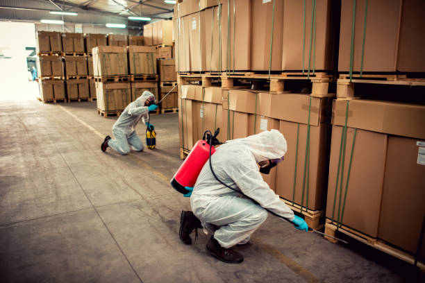 Best Residential Pest Control  in Roscoe, TX