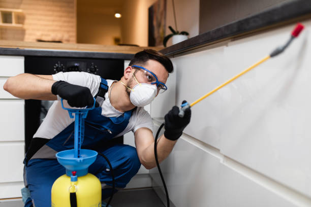 Flea Control Services in Roscoe, TX