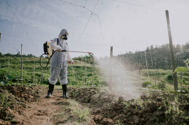 Best Mosquito Control Services  in Roscoe, TX