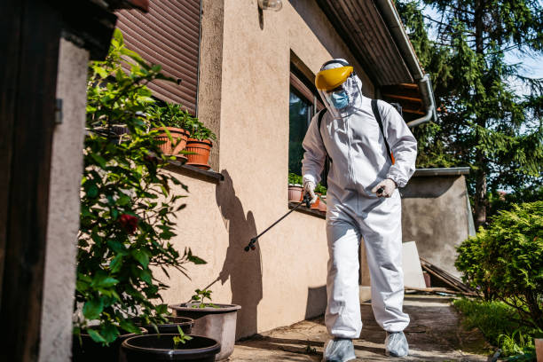 Best Flea Control Services  in Roscoe, TX
