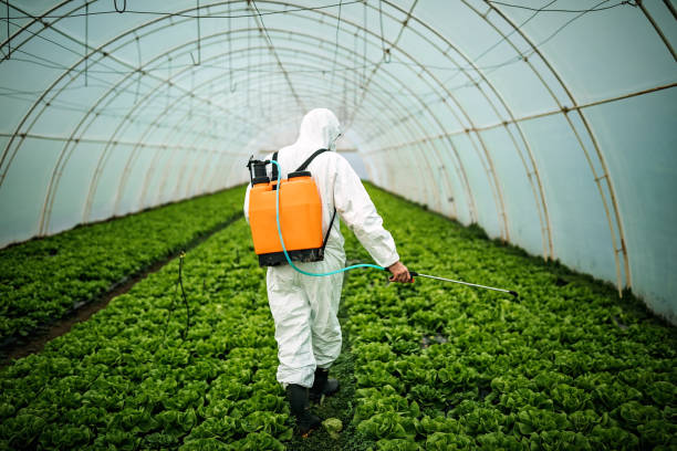 Best Pest Control Near Me  in Roscoe, TX