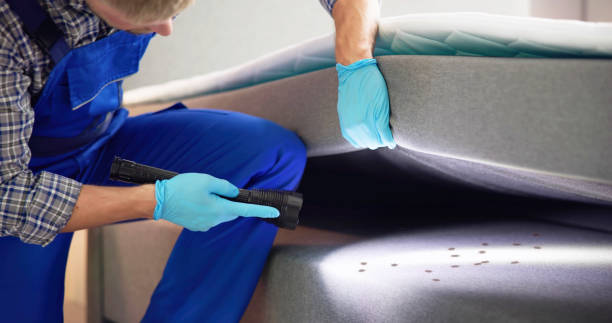 Best Mosquito Control Services  in Roscoe, TX