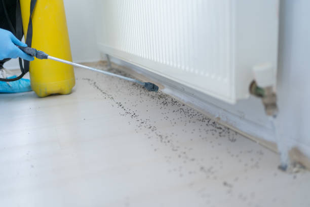 Best Cockroach Control Services  in Roscoe, TX