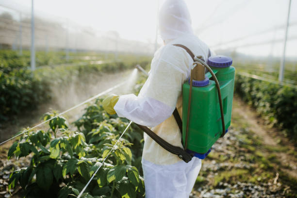 Best Pest Removal Services  in Roscoe, TX